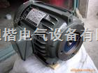 销售中国台湾JUN LING油泵    JUNLING油泵